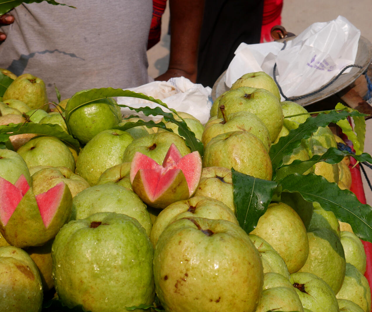 Fruits- Guava